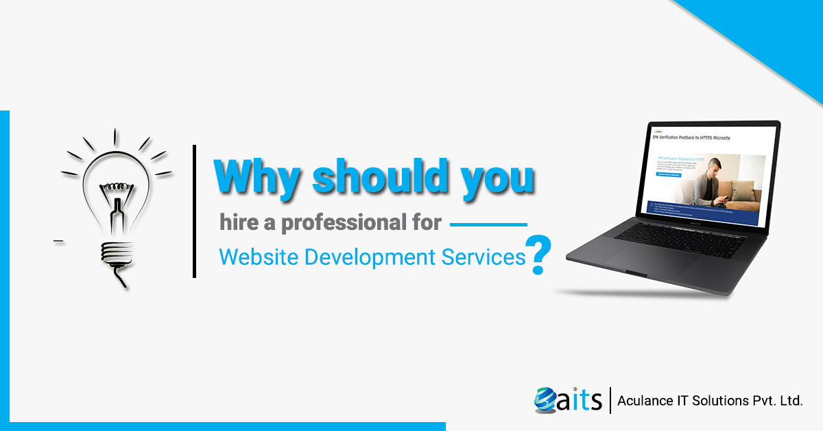 Why should you hire a Professional for Website Development Services